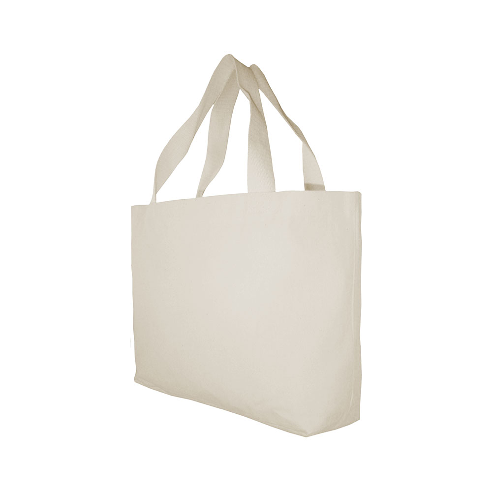 Sacola Ecológica 571