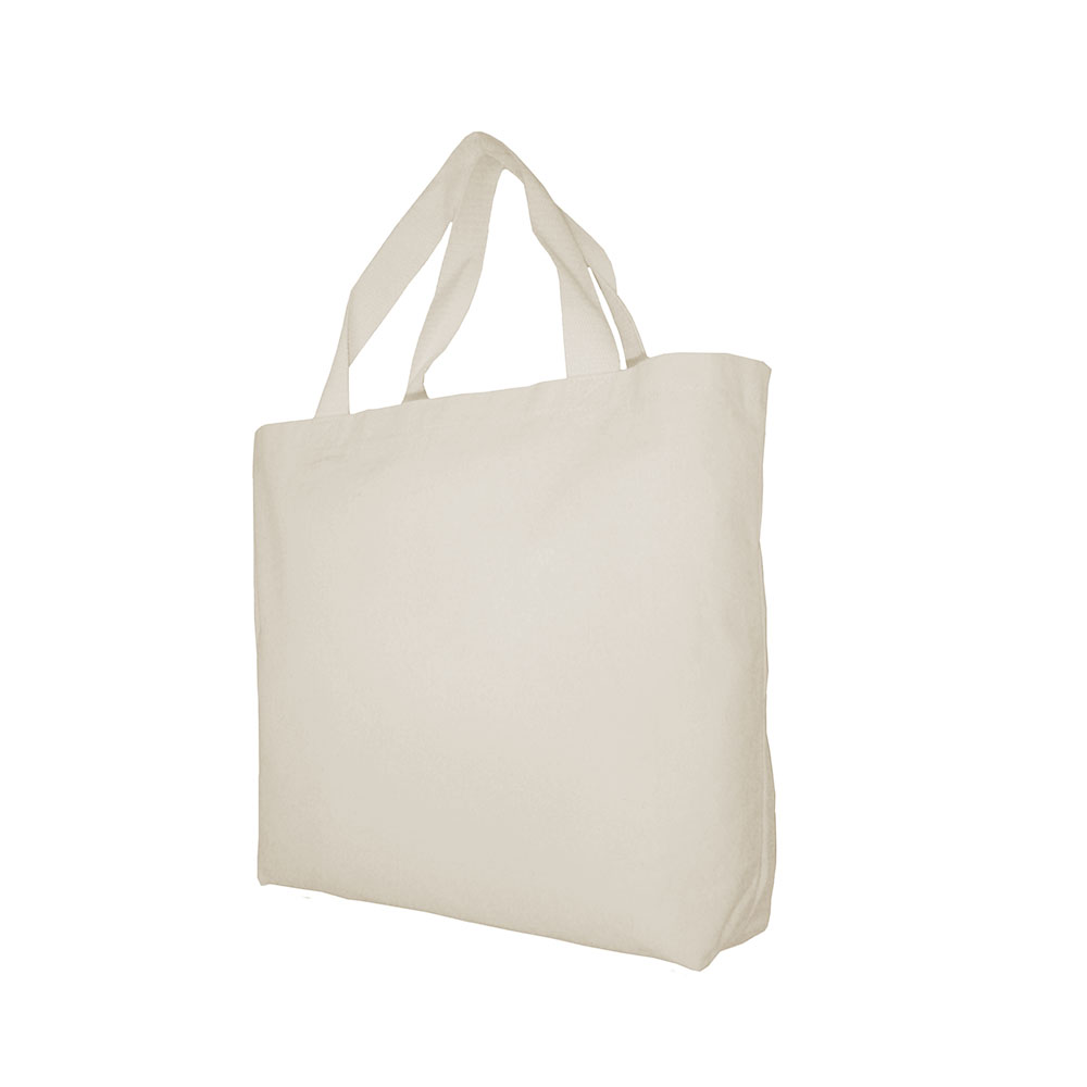 Sacola Ecológica 580